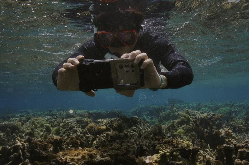 008-Coral-in-Focus-Samsung-Marks-One-Year-of-Marine-Ecosystem-Restoration-With-Galaxy-Technology.jpg