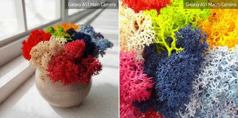galaxy-a51-macro-lens-plant-01-3.jpg