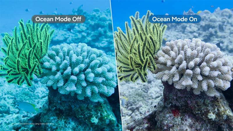 002-Samsung-Galaxys-Ocean-Mode-and-Coral-Reef-Initiative-Receive-International-Recognition-and-Awards-Newsbody.jpg