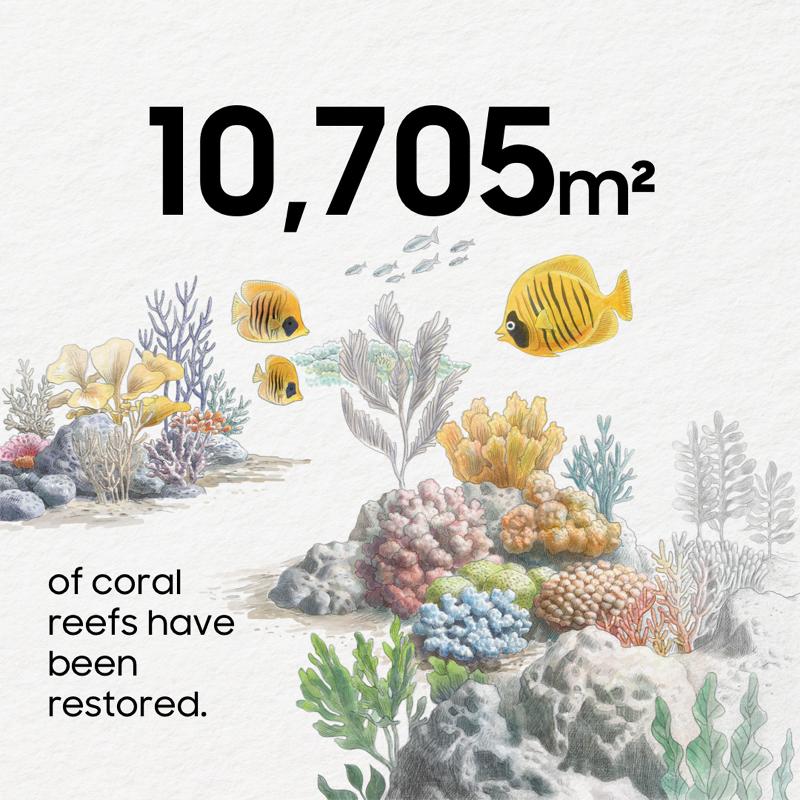 007-Coral-in-Focus-Samsung-Marks-One-Year-of-Marine-Ecosystem-Restoration-With-Galaxy-Technology.jpg