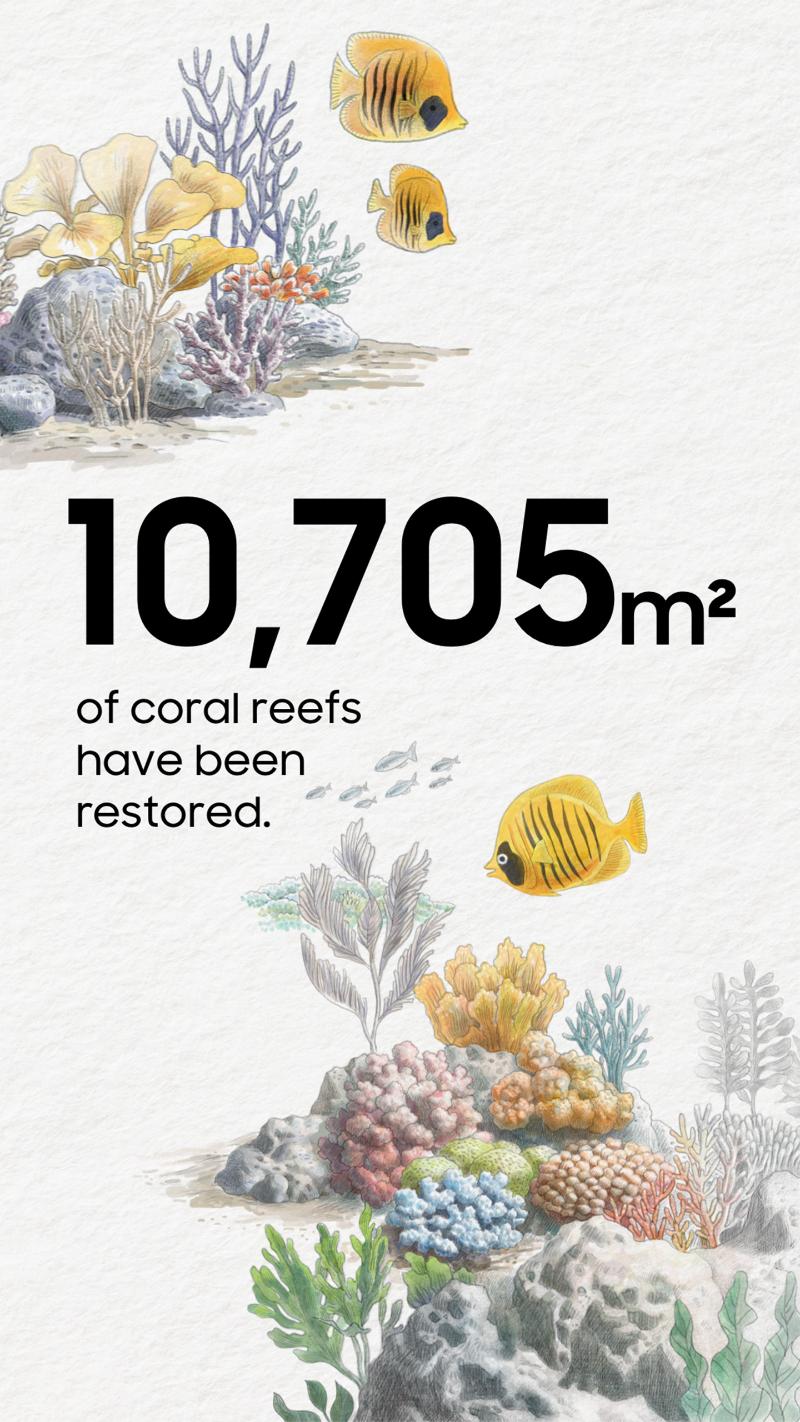 015-Coral-in-Focus-Samsung-Marks-One-Year-of-Marine-Ecosystem-Restoration-With-Galaxy-Technology.jpg