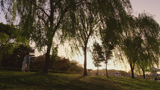 004-Galaxy-S26-Ultra-APV--Cine-LUT-Romance.zip