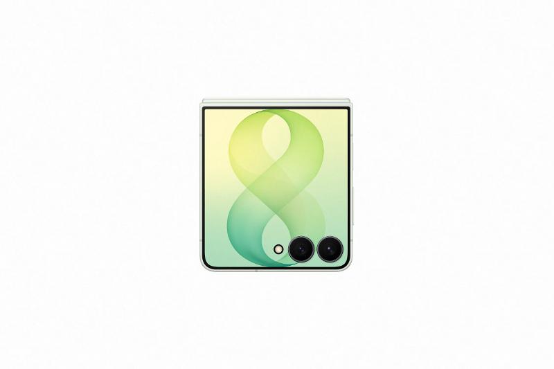 033-galaxy-zflip8-mint-closed-front.jpg