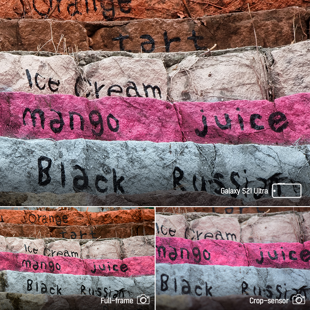 Galaxy S21 vs DSLR cameras